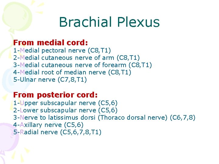 Brachial Plexus From medial cord: 1 -Medial pectoral nerve (C 8, T 1) 2