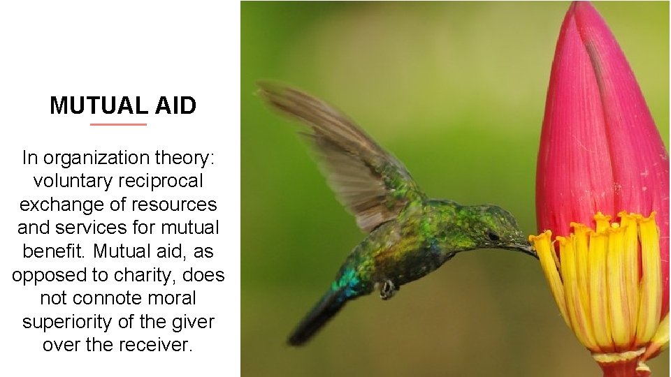 MUTUAL AID In organization theory: voluntary reciprocal exchange of resources and services for mutual