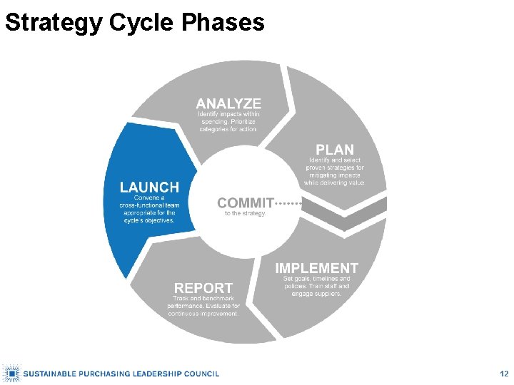 Strategy Cycle Phases 12 
