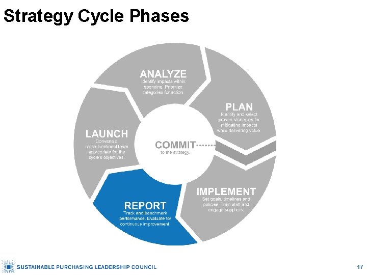 Strategy Cycle Phases 17 