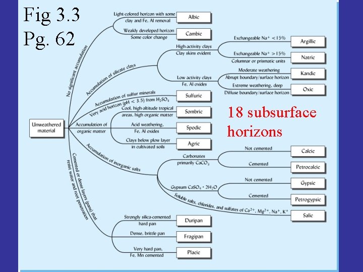 Fig 3. 3 Pg. 62 18 subsurface horizons 