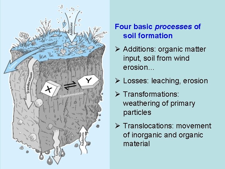 Four basic processes of soil formation Ø Additions: organic matter input, soil from wind