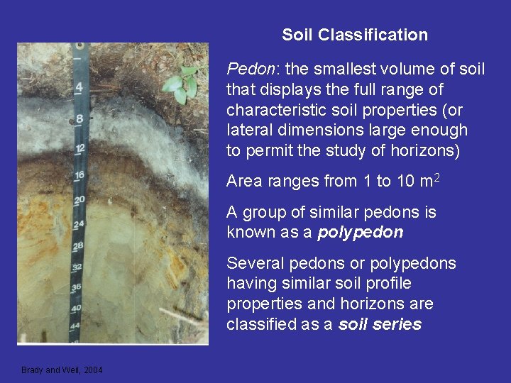 Soil Classification Pedon: the smallest volume of soil that displays the full range of