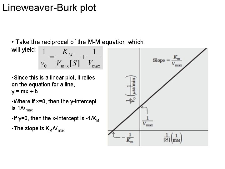 Lineweaver-Burk plot • Take the reciprocal of the M-M equation which will yield: •