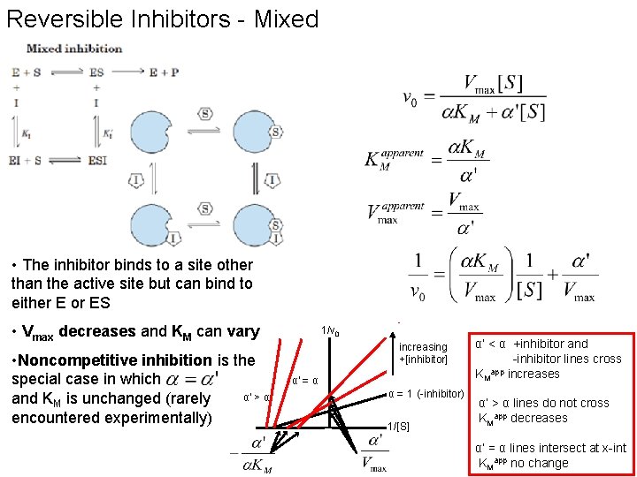 Reversible Inhibitors - Mixed • The inhibitor binds to a site other than the