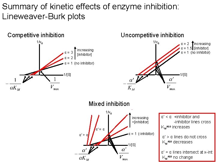 Summary of kinetic effects of enzyme inhibition: Lineweaver-Burk plots Competitive inhibition Uncompetitive inhibition 1/v