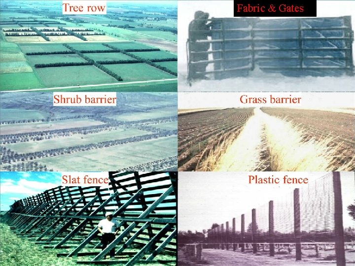 Windbreak Functions or How Do Windbreaks Work Richard