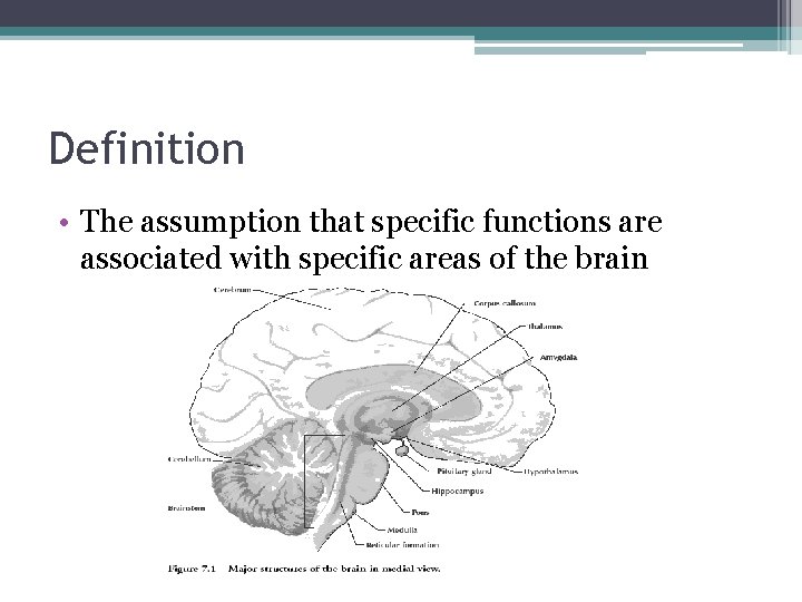Definition • The assumption that specific functions are associated with specific areas of the