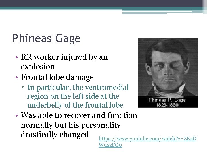 Phineas Gage • RR worker injured by an explosion • Frontal lobe damage ▫