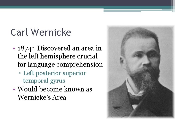 Carl Wernicke • 1874: Discovered an area in the left hemisphere crucial for language