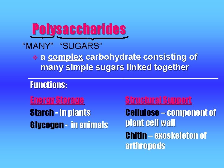 Polysaccharides “MANY” “SUGARS” v a complex carbohydrate consisting of many simple sugars linked together