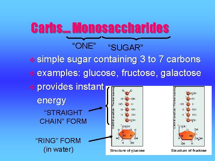 Carbs… Monosaccharides “ONE” “SUGAR” v simple sugar containing 3 to 7 carbons v examples: Carbs… Monosaccharides “ONE” “SUGAR” v simple sugar containing 3 to 7 carbons v examples: