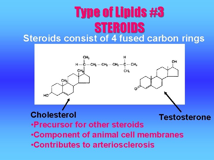 Type of Lipids #3 STEROIDS Steroids consist of 4 fused carbon rings Cholesterol Testosterone Type of Lipids #3 STEROIDS Steroids consist of 4 fused carbon rings Cholesterol Testosterone