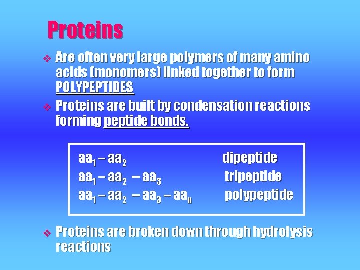 Proteins Are often very large polymers of many amino acids (monomers) linked together to