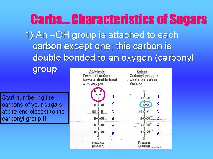 Carbs… Characteristics of Sugars 1) An –OH group is attached to each carbon except Carbs… Characteristics of Sugars 1) An –OH group is attached to each carbon except