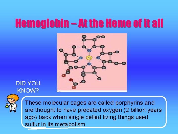 Hemoglobin – At the Heme of it all DID YOU KNOW? These molecular cages Hemoglobin – At the Heme of it all DID YOU KNOW? These molecular cages