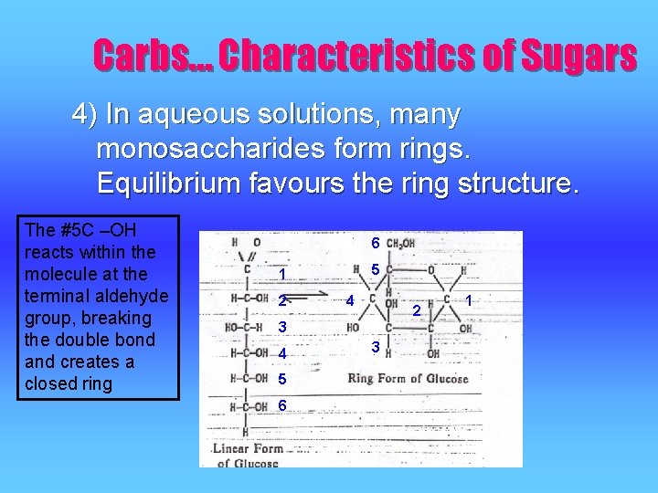 Carbs… Characteristics of Sugars 4) In aqueous solutions, many monosaccharides form rings. Equilibrium favours