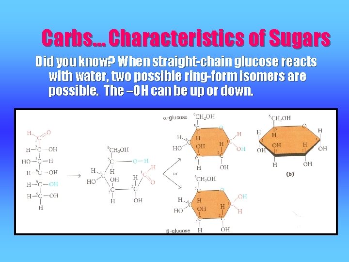 Carbs… Characteristics of Sugars Did you know? When straight-chain glucose reacts with water, two