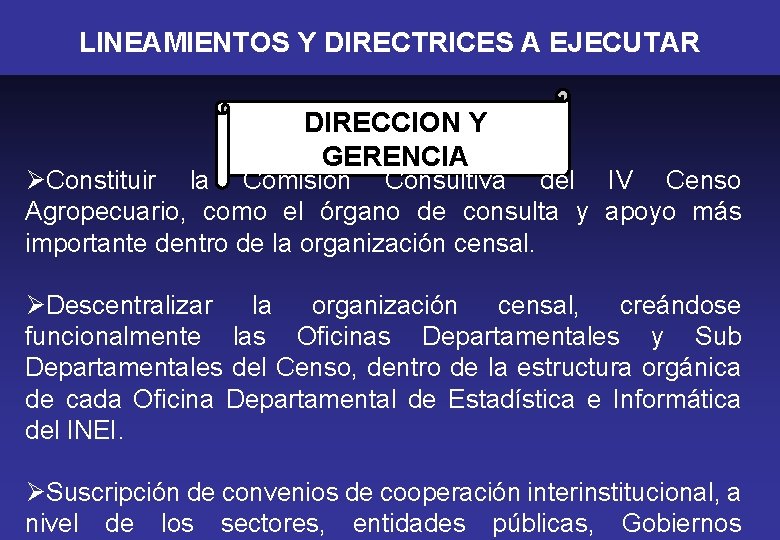 LINEAMIENTOS Y DIRECTRICES A EJECUTAR DIRECCION Y GERENCIA ØConstituir la Comisión Consultiva del IV
