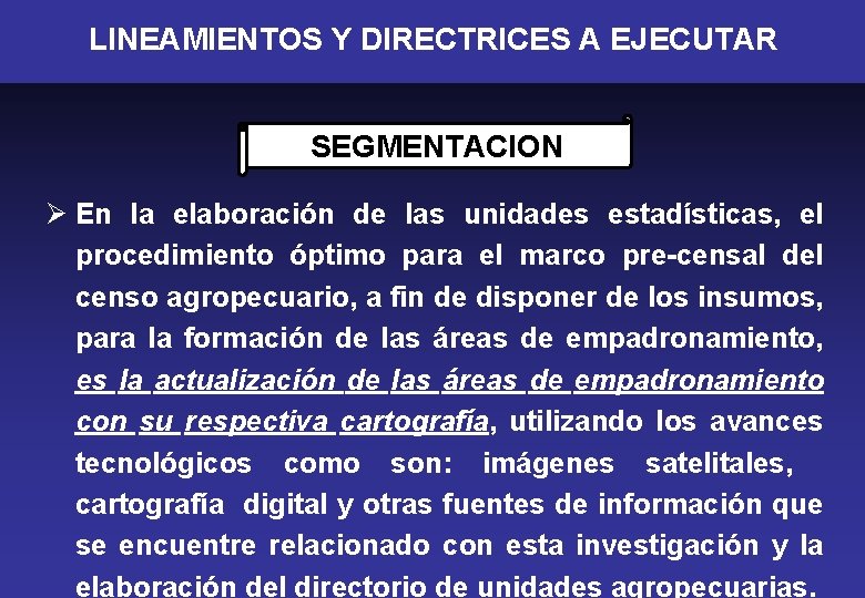 LINEAMIENTOS Y DIRECTRICES A EJECUTAR SEGMENTACION Ø En la elaboración de las unidades estadísticas,