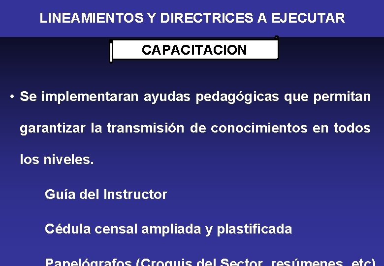 LINEAMIENTOS Y DIRECTRICES A EJECUTAR CAPACITACION • Se implementaran ayudas pedagógicas que permitan garantizar