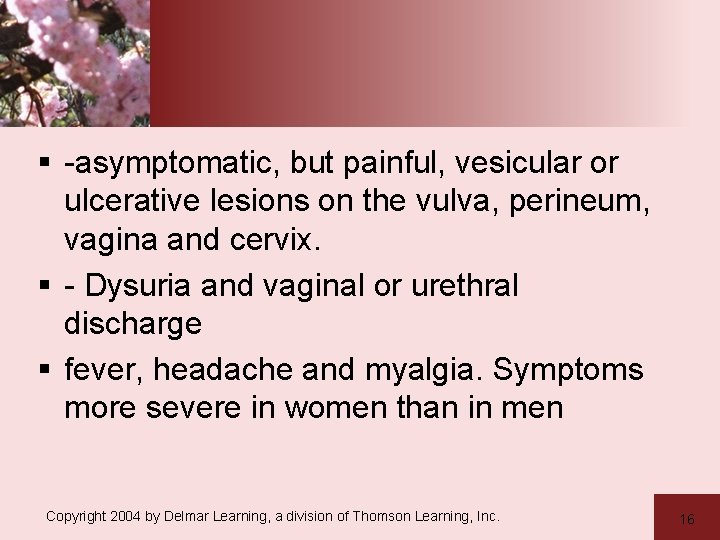 § -asymptomatic, but painful, vesicular or ulcerative lesions on the vulva, perineum, vagina and