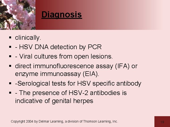 Diagnosis § § clinically. - HSV DNA detection by PCR - Viral cultures from