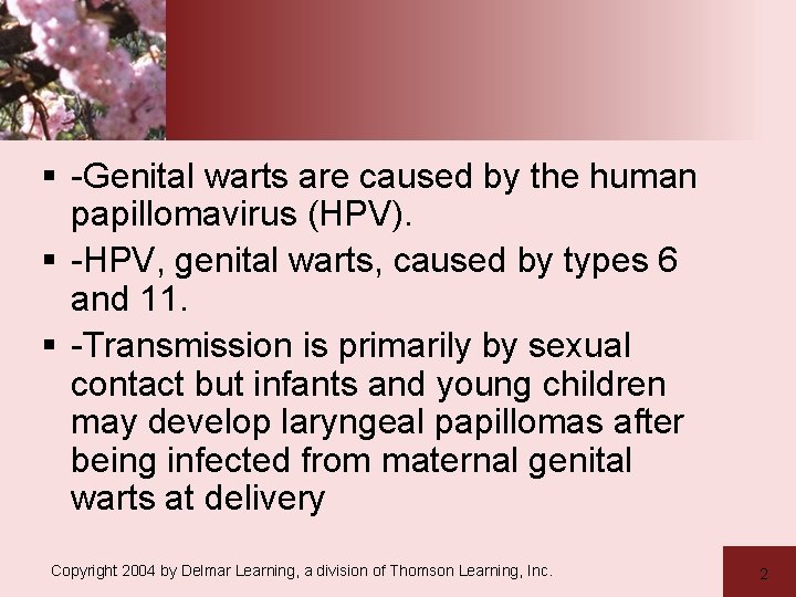 § -Genital warts are caused by the human papillomavirus (HPV). § -HPV, genital warts,