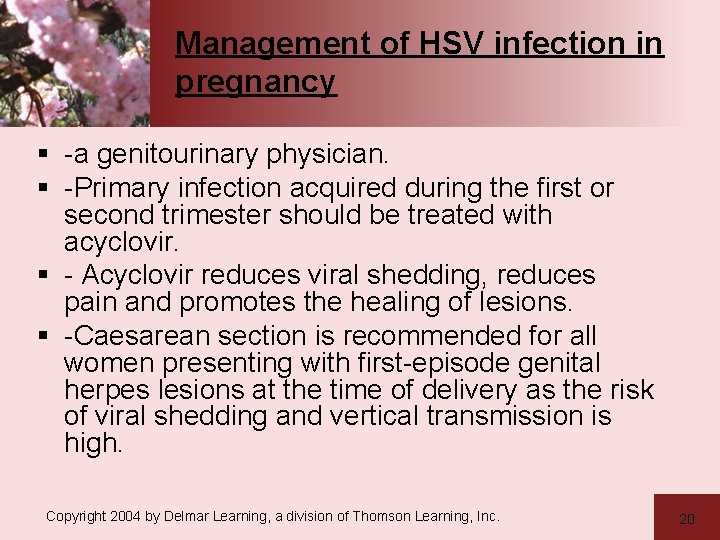 Management of HSV infection in pregnancy § -a genitourinary physician. § -Primary infection acquired