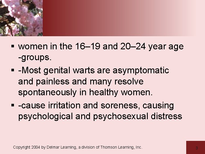 § women in the 16– 19 and 20– 24 year age -groups. § -Most