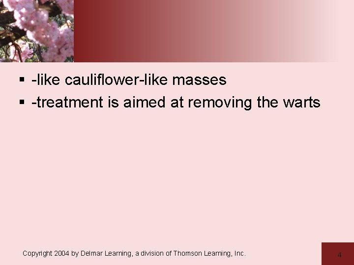 § -like cauliflower-like masses § -treatment is aimed at removing the warts Copyright 2004