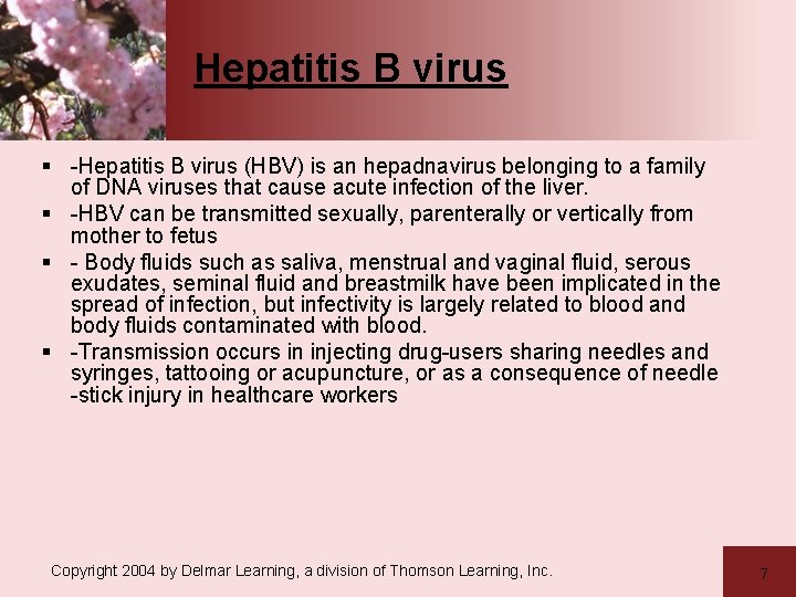 Hepatitis B virus § -Hepatitis B virus (HBV) is an hepadnavirus belonging to a