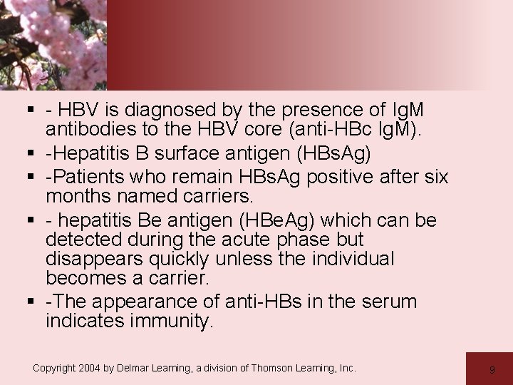 § - HBV is diagnosed by the presence of Ig. M antibodies to the