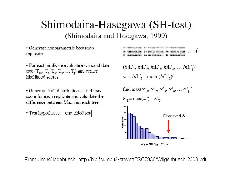From Jim Wilgenbusch: http: //bio. fsu. edu/~stevet/BSC 5936/Wilgenbusch. 2003. pdf 