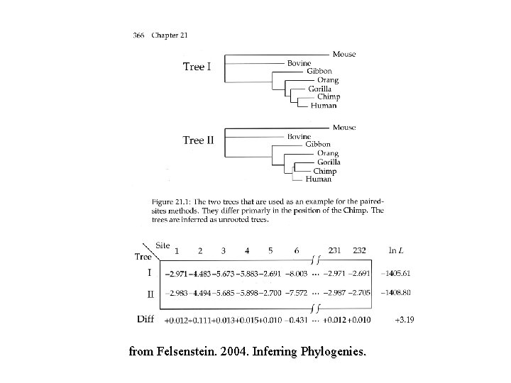 from Felsenstein. 2004. Inferring Phylogenies. 