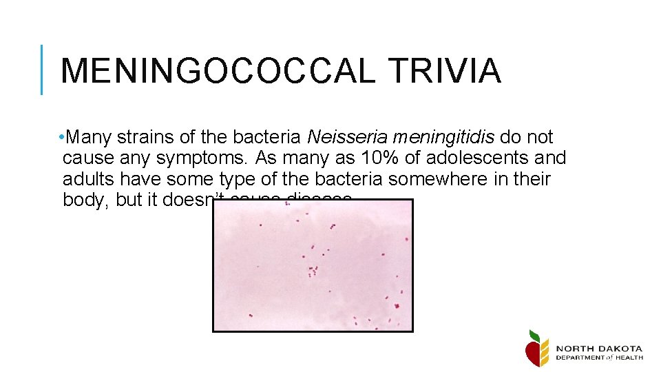 MENINGOCOCCAL TRIVIA • Many strains of the bacteria Neisseria meningitidis do not cause any