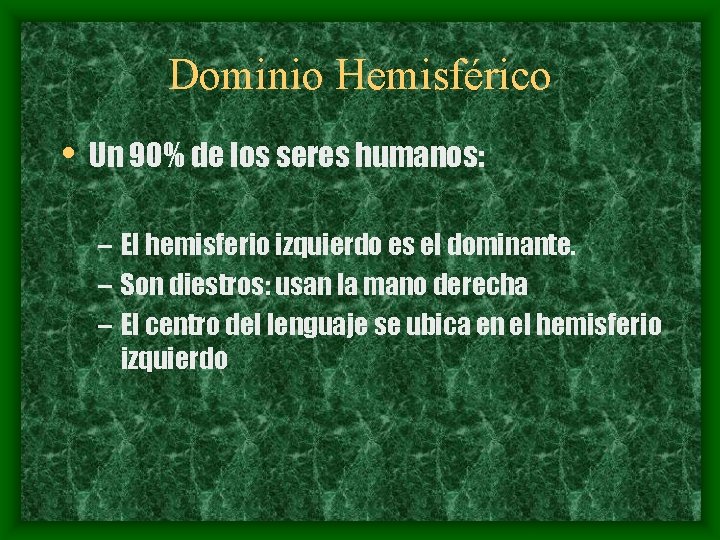Dominio Hemisférico • Un 90% de los seres humanos: – El hemisferio izquierdo es