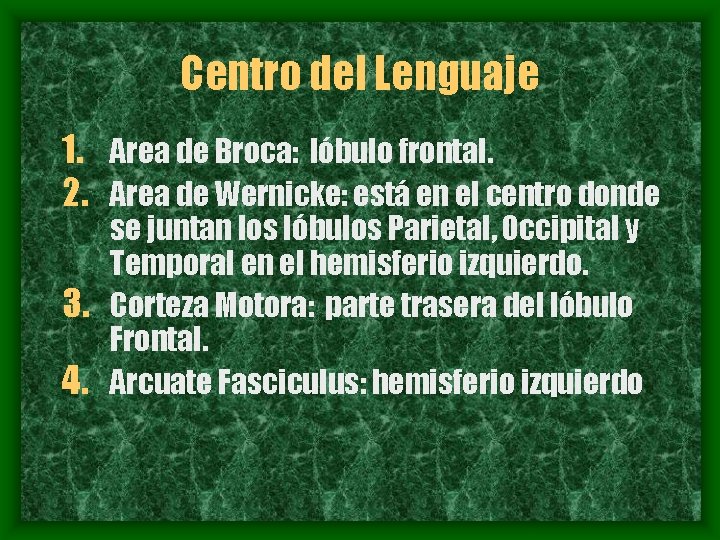 Centro del Lenguaje 1. Area de Broca: lóbulo frontal. 2. Area de Wernicke: está