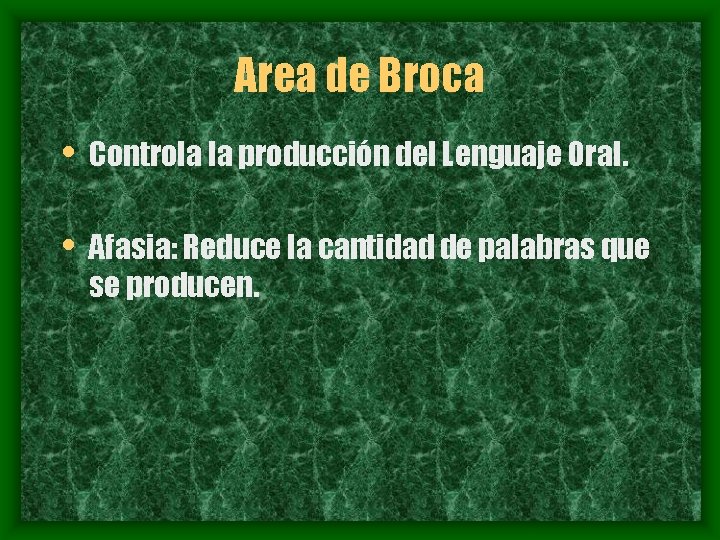 Area de Broca • Controla la producción del Lenguaje Oral. • Afasia: Reduce la