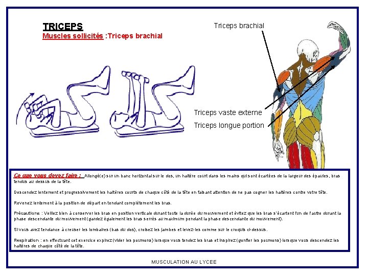 TRICEPS Triceps brachial Muscles sollicités : Triceps brachial Triceps vaste externe Triceps longue portion