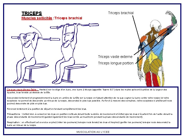 TRICEPS Triceps brachial Muscles sollicités : Triceps brachial Triceps vaste externe Triceps longue portion