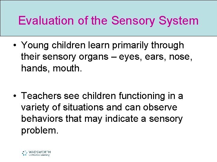Evaluation of the Sensory System • Young children learn primarily through their sensory organs