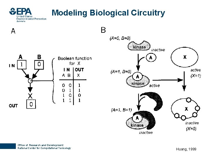 Modeling Biological Circuitry Office of Research and Development National Center for Computational Toxicology Huang,
