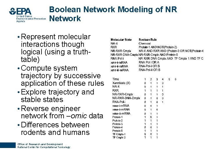 Boolean Network Modeling of NR Network • Represent molecular interactions though logical (using a