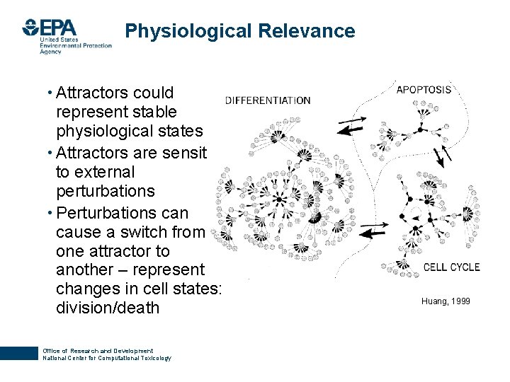 Physiological Relevance • Attractors could represent stable physiological states • Attractors are sensitive to