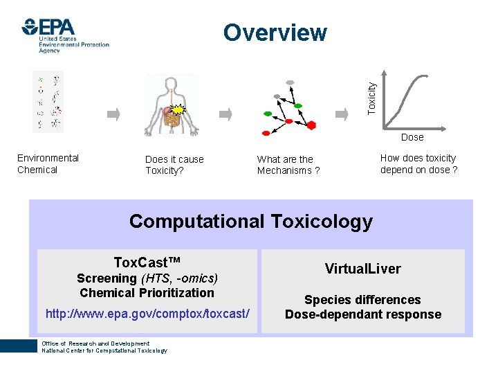 Toxicity Overview Dose Environmental Chemical Does it cause Toxicity? How does toxicity depend on