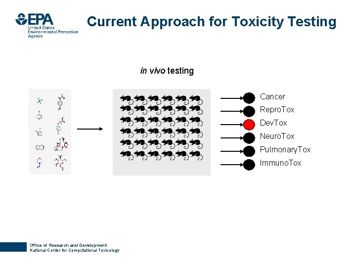Current Approach for Toxicity Testing in vivo testing Cancer Repro. Tox Dev. Tox Neuro.
