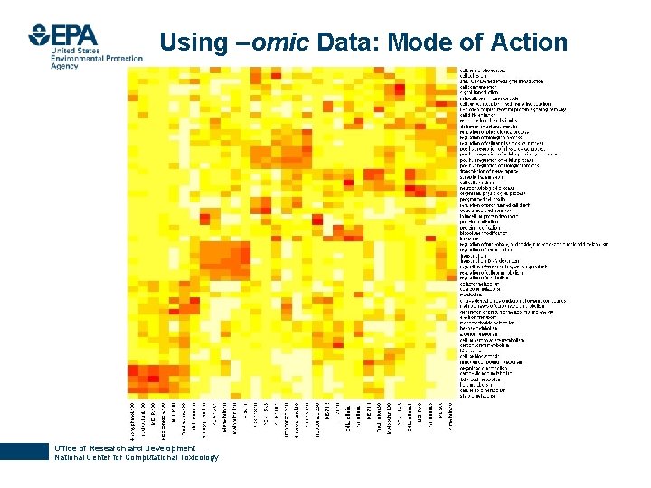 Using –omic Data: Mode of Action Office of Research and Development National Center for