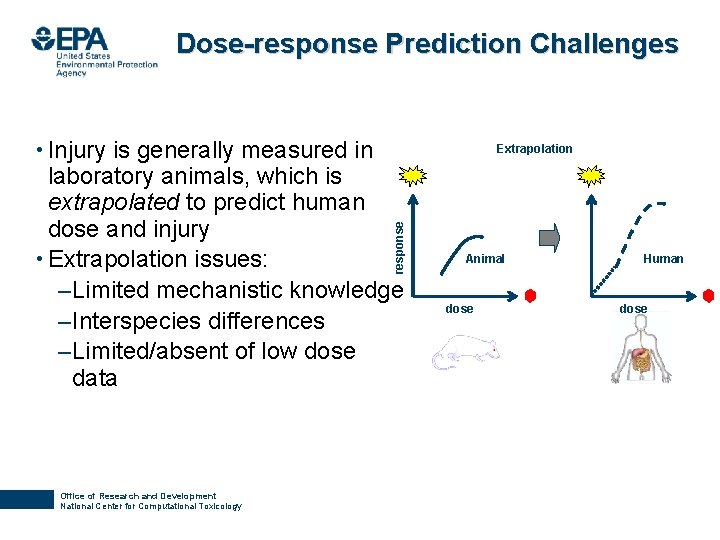 Dose-response Prediction Challenges • Injury is generally measured in Extrapolation response laboratory animals, which