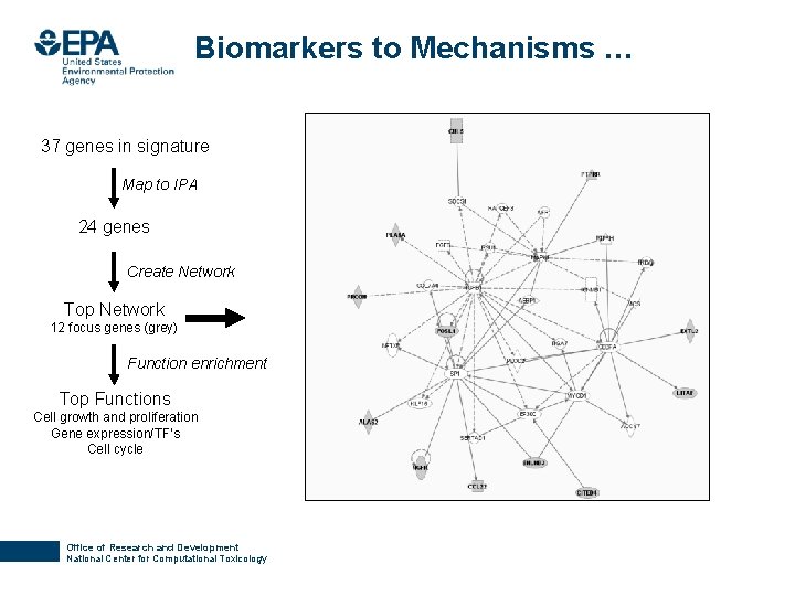 Biomarkers to Mechanisms … 37 genes in signature Map to IPA 24 genes Create